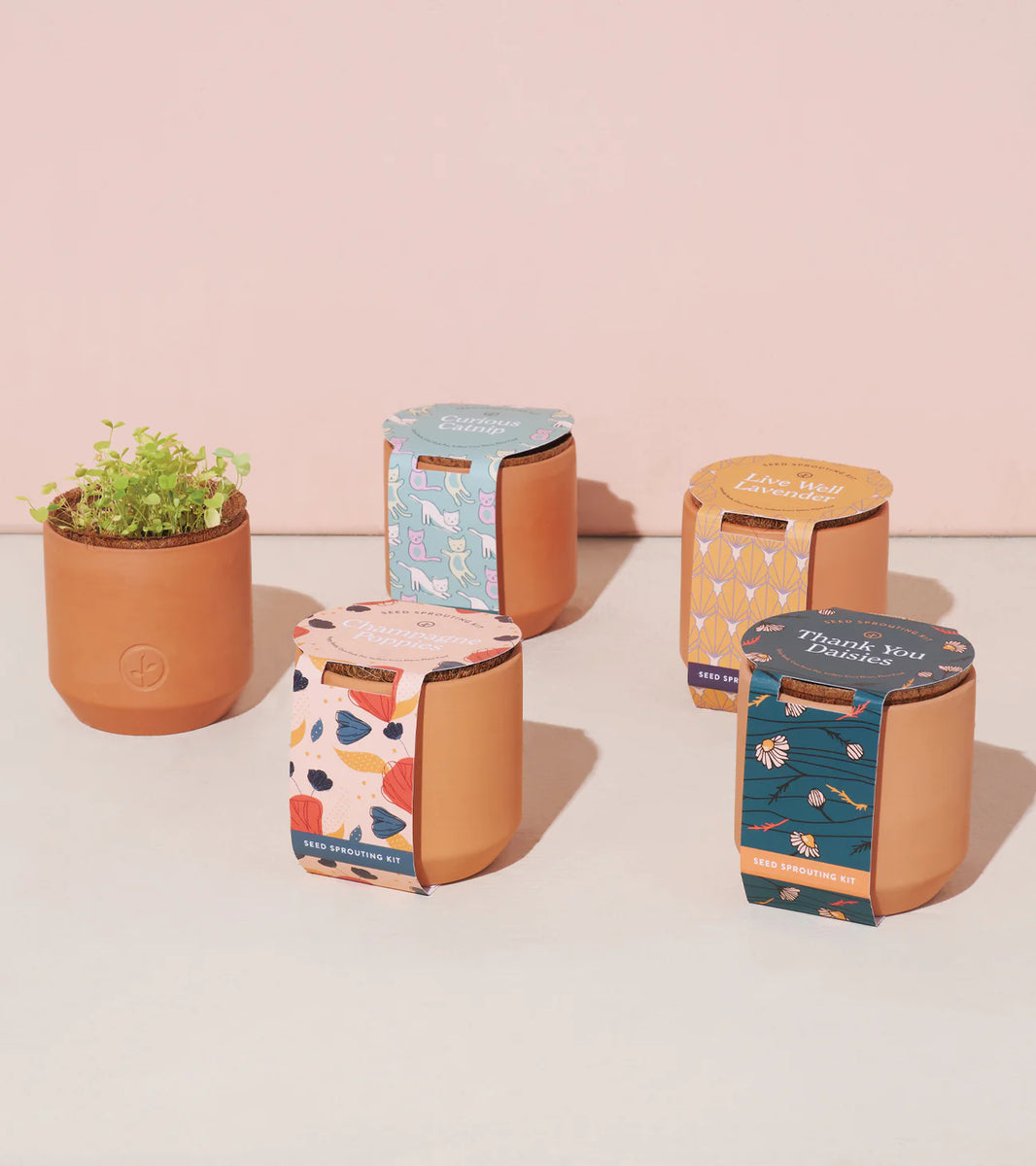 live well lavender seed sprouting kit Modern Sprout Tiny Terracotta Grow Kit Good Luck Clover