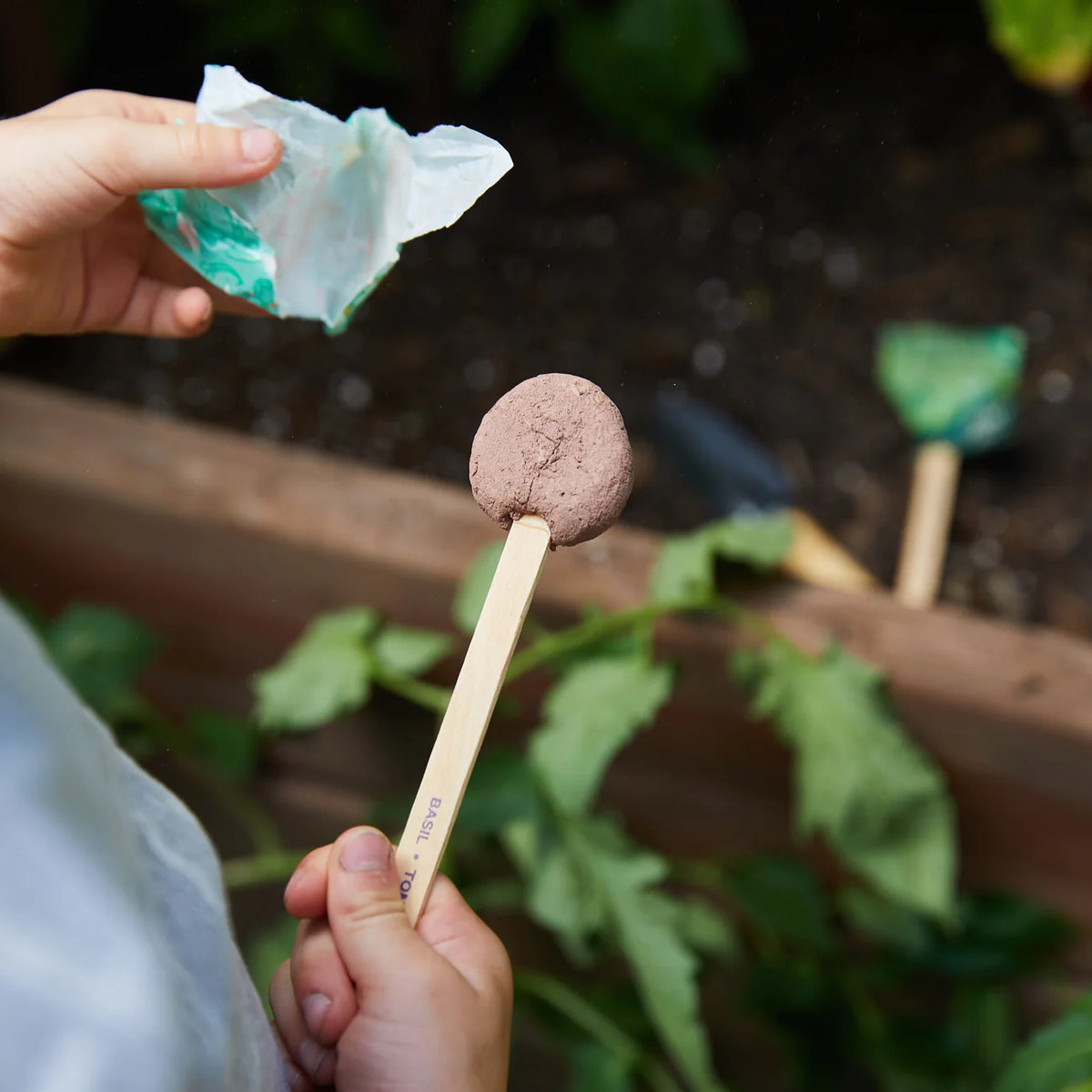 wildflower seed pops Modern Sprout - Seed Pop