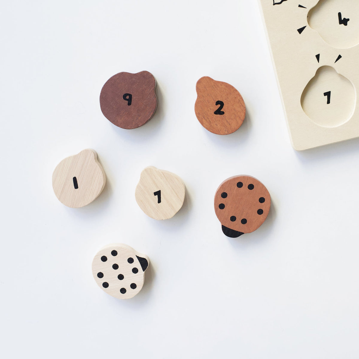 Ladybug counting puzzle detail showing numbered backs and matching dots