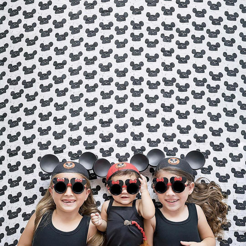 Organic Swaddle + Wall Art - Modern Mouse