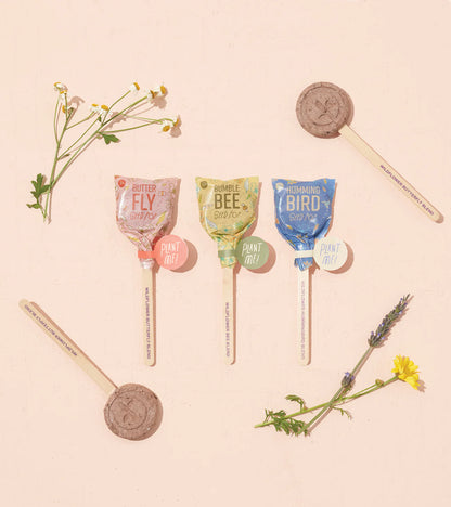 Modern Sprout - Seed Pop - Bee
