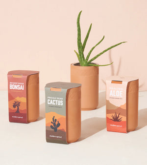 
                  
                    Load image into Gallery viewer, Modern Sprout - Terracotta Kit - Aloe
                  
                