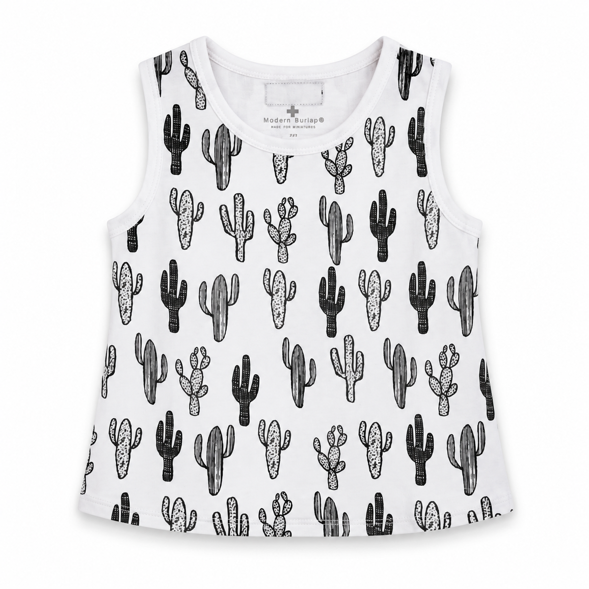 B+W Cactus ©, solo studio front view on white.