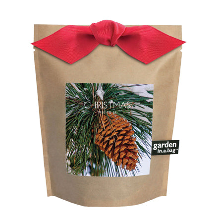 Potting Shed Creations -  Christmas Tree Garden in a Bag