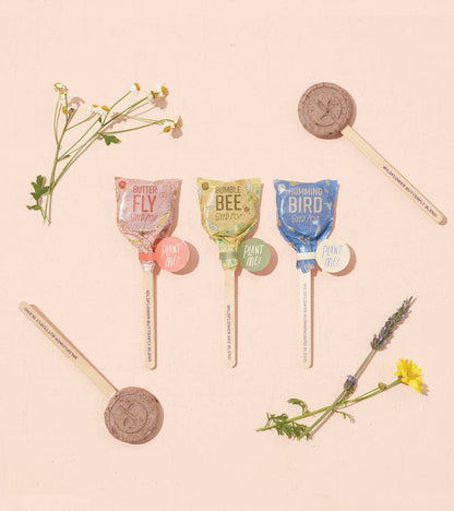 Modern Sprout - Seed Pop - Butterfly
