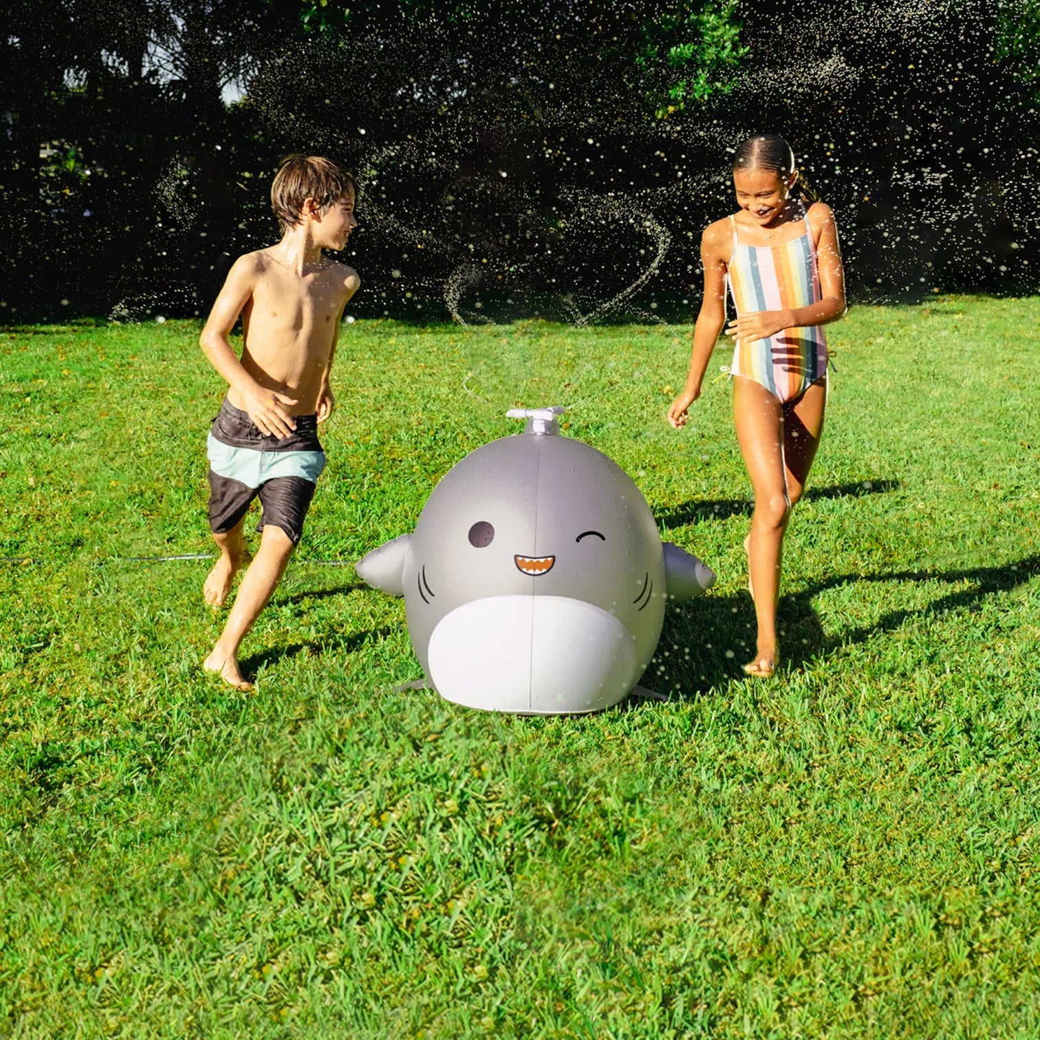 Bigmouth inc sprinkler sales