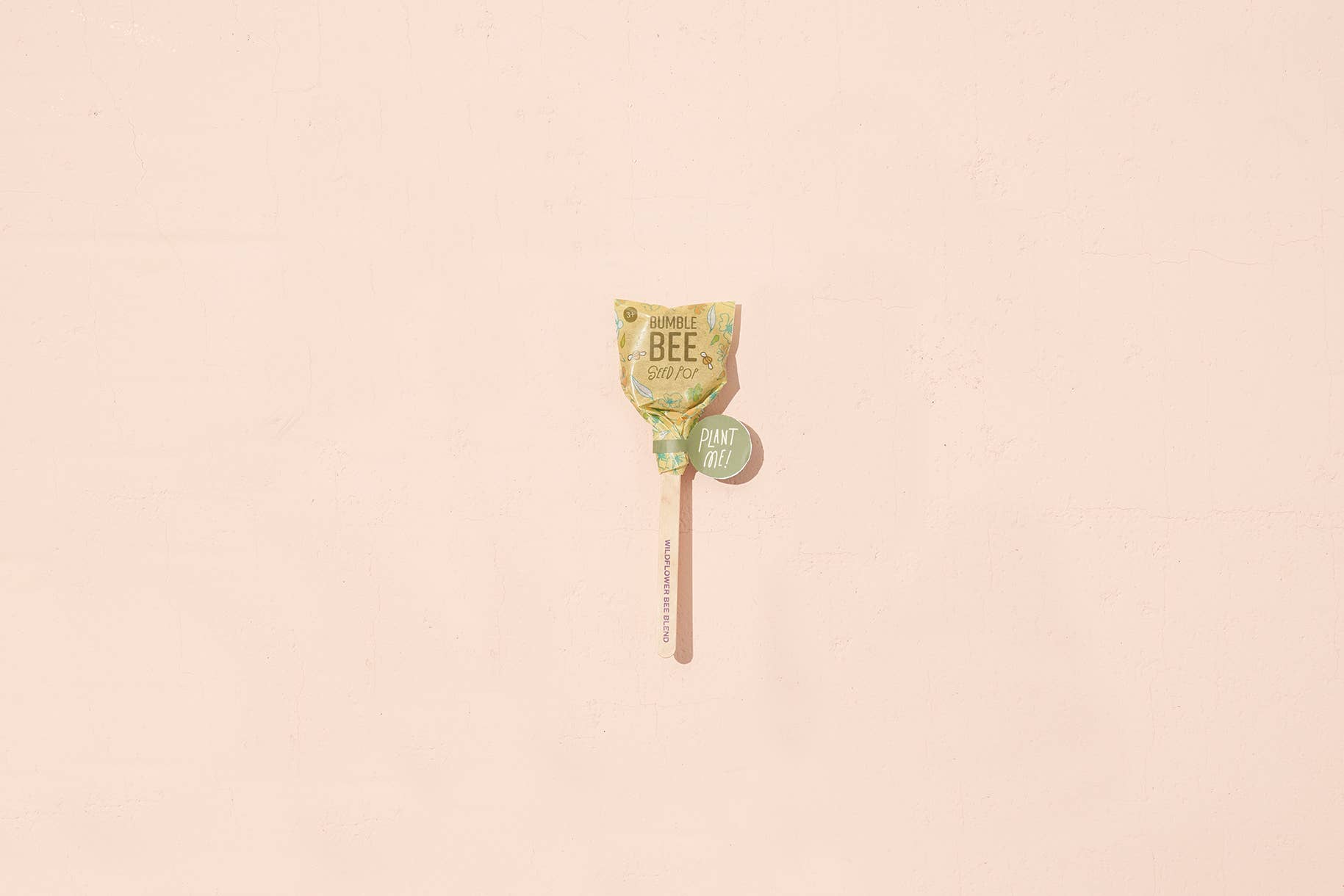 Modern Sprout - Seed Pop - Bee
