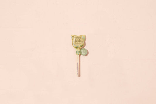 Modern Sprout - Seed Pop - Bee