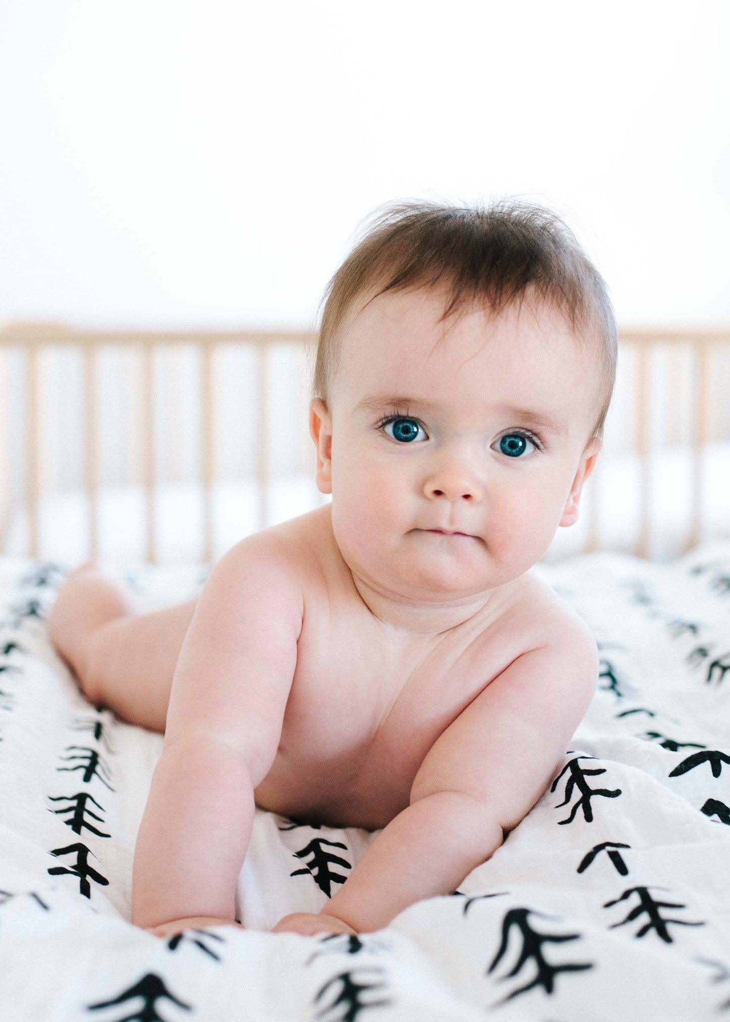 Tree Hugger Organic Swaddle | GOTS Certified Organic Cotton Muslin