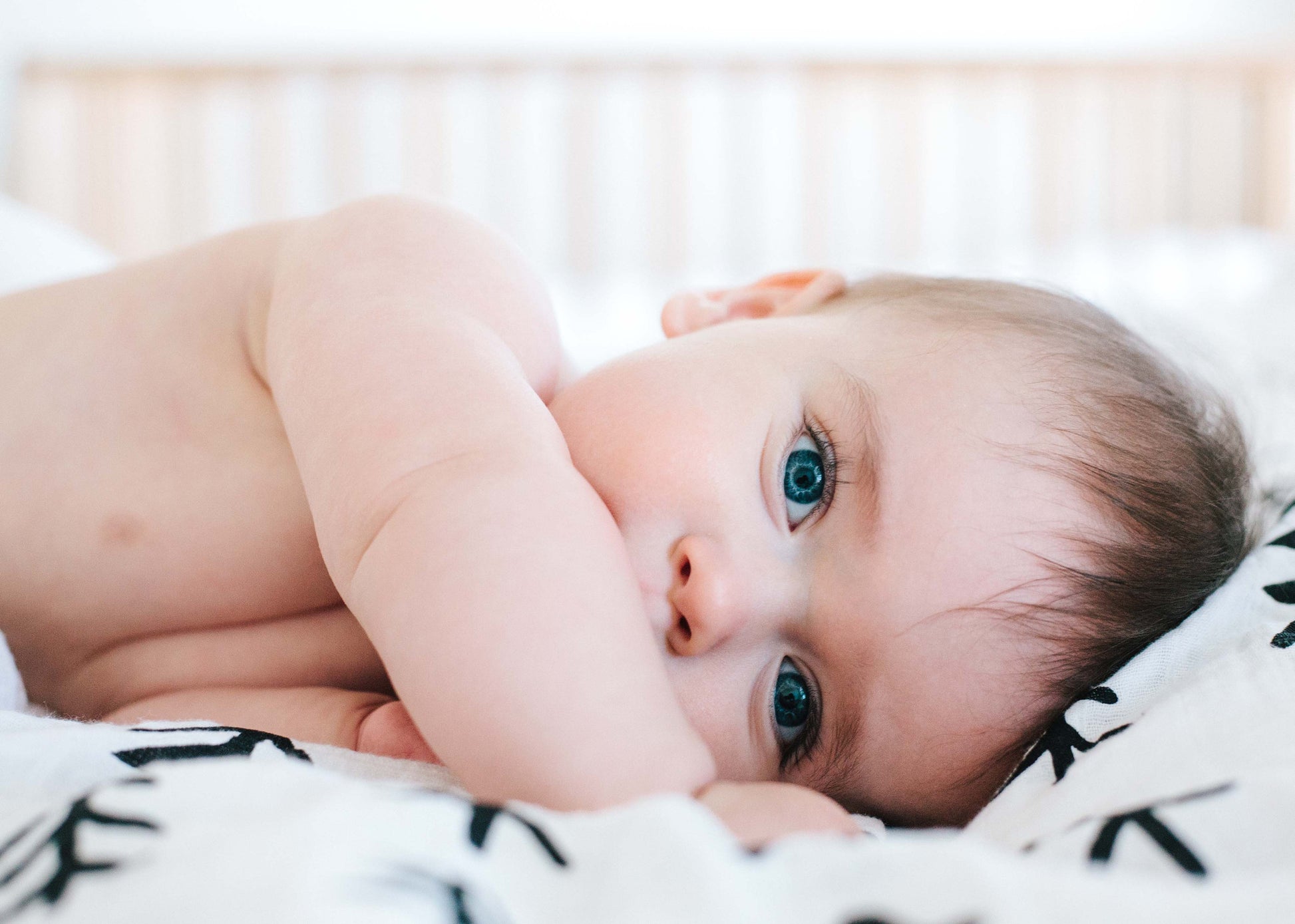 Tree Hugger Organic Swaddle | GOTS Certified Organic Cotton Muslin