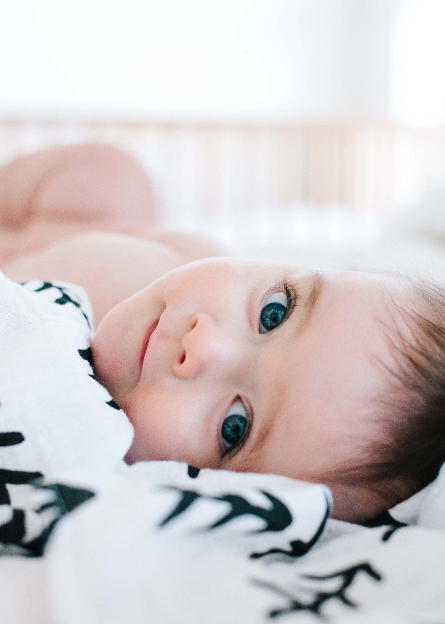 Tree Hugger Organic Swaddle | GOTS Certified Organic Cotton Muslin