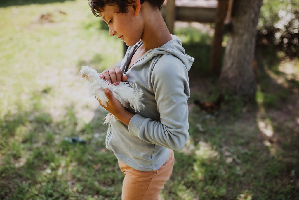 GOTS certified organic cotton zip hoodie in a solid color