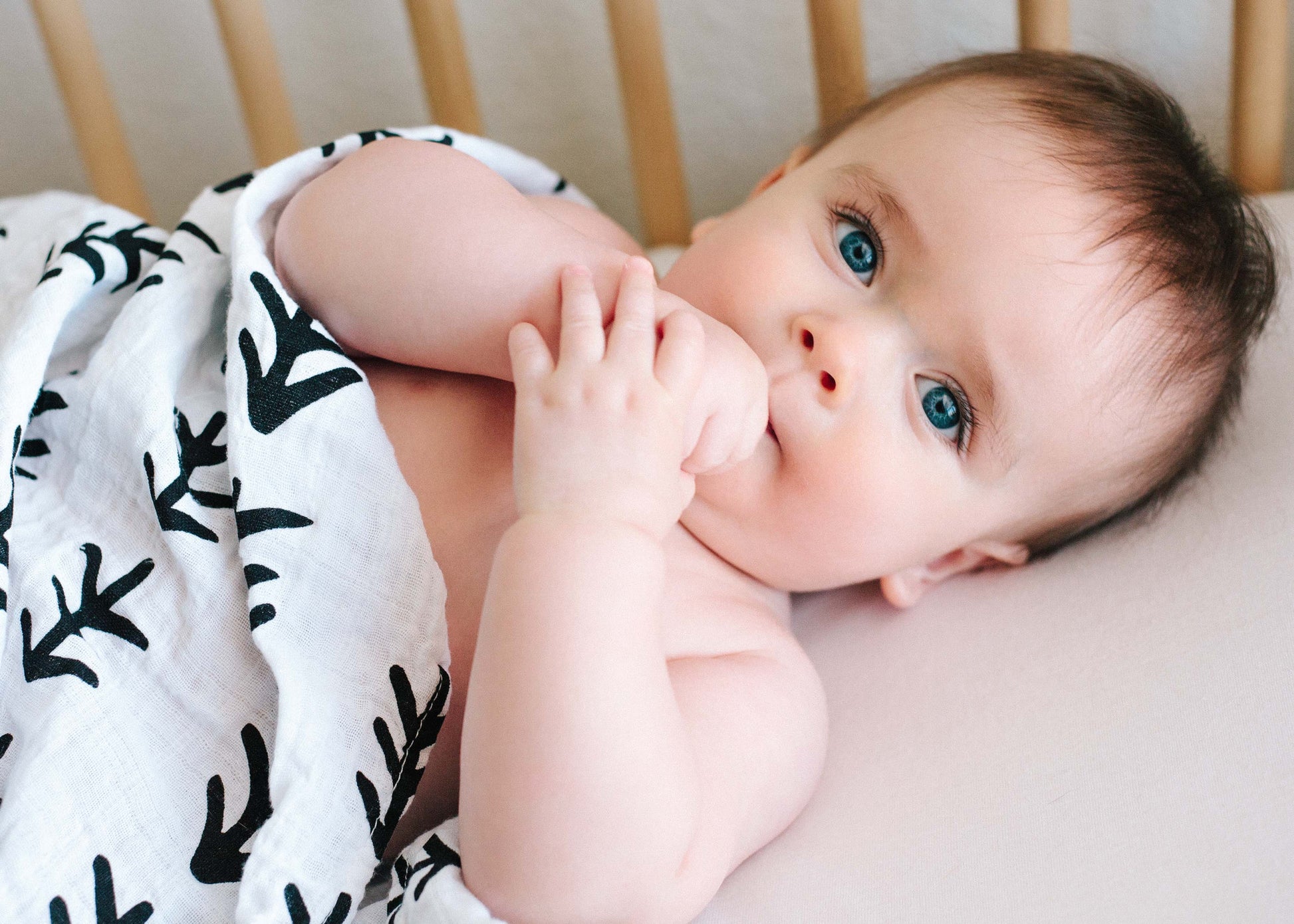 Tree Hugger Organic Swaddle | GOTS Certified Organic Cotton Muslin