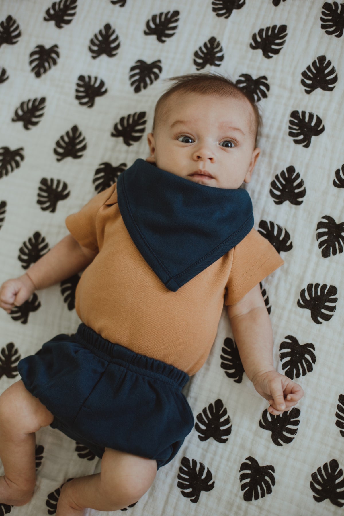 Organic Kids Shorts | GOTS Certified Organic Cotton | Solid Colors