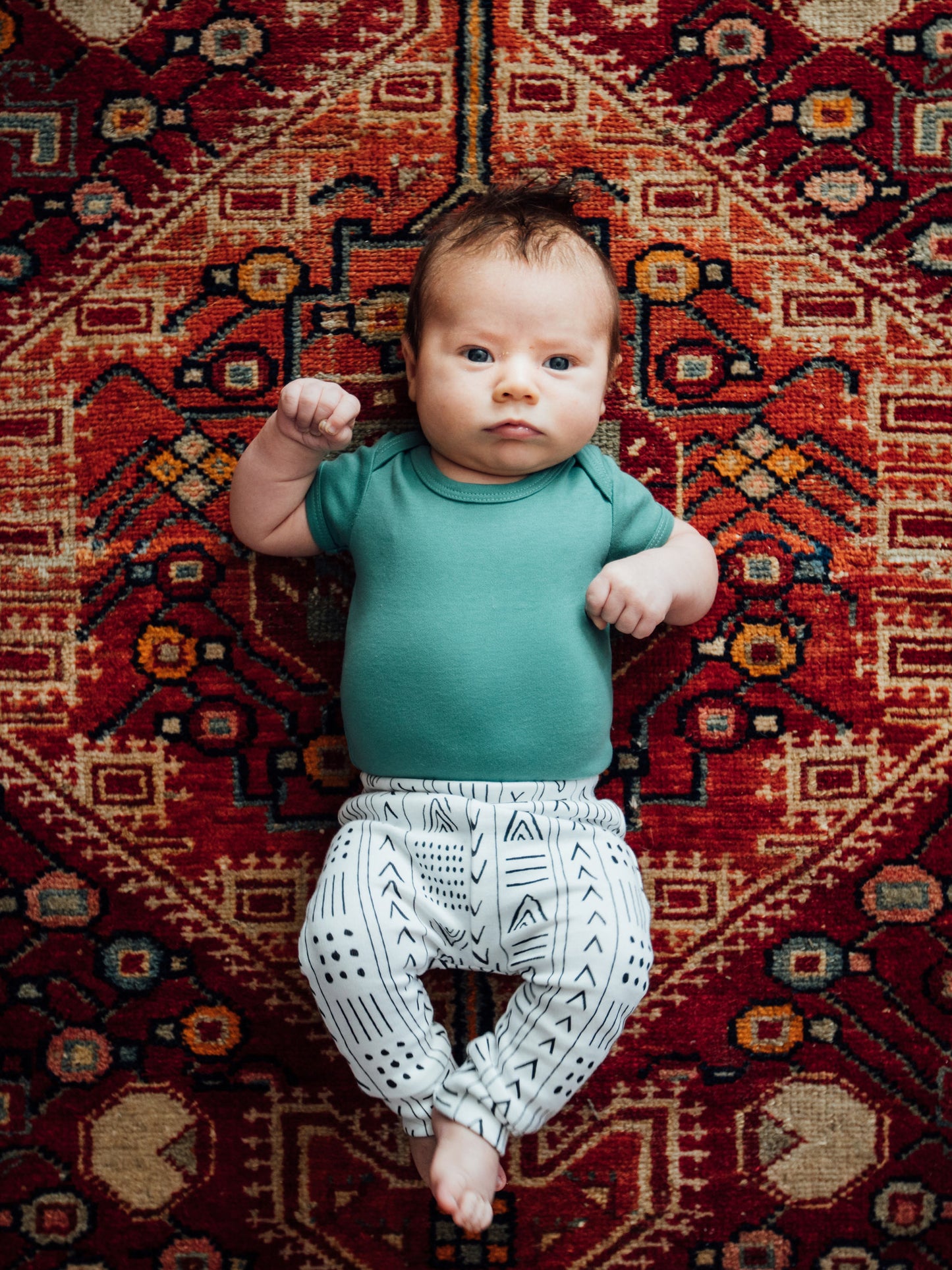 Organic Baby and Toddler Basic Pant | GOTS Certified Organic Cotton | Signature Prints