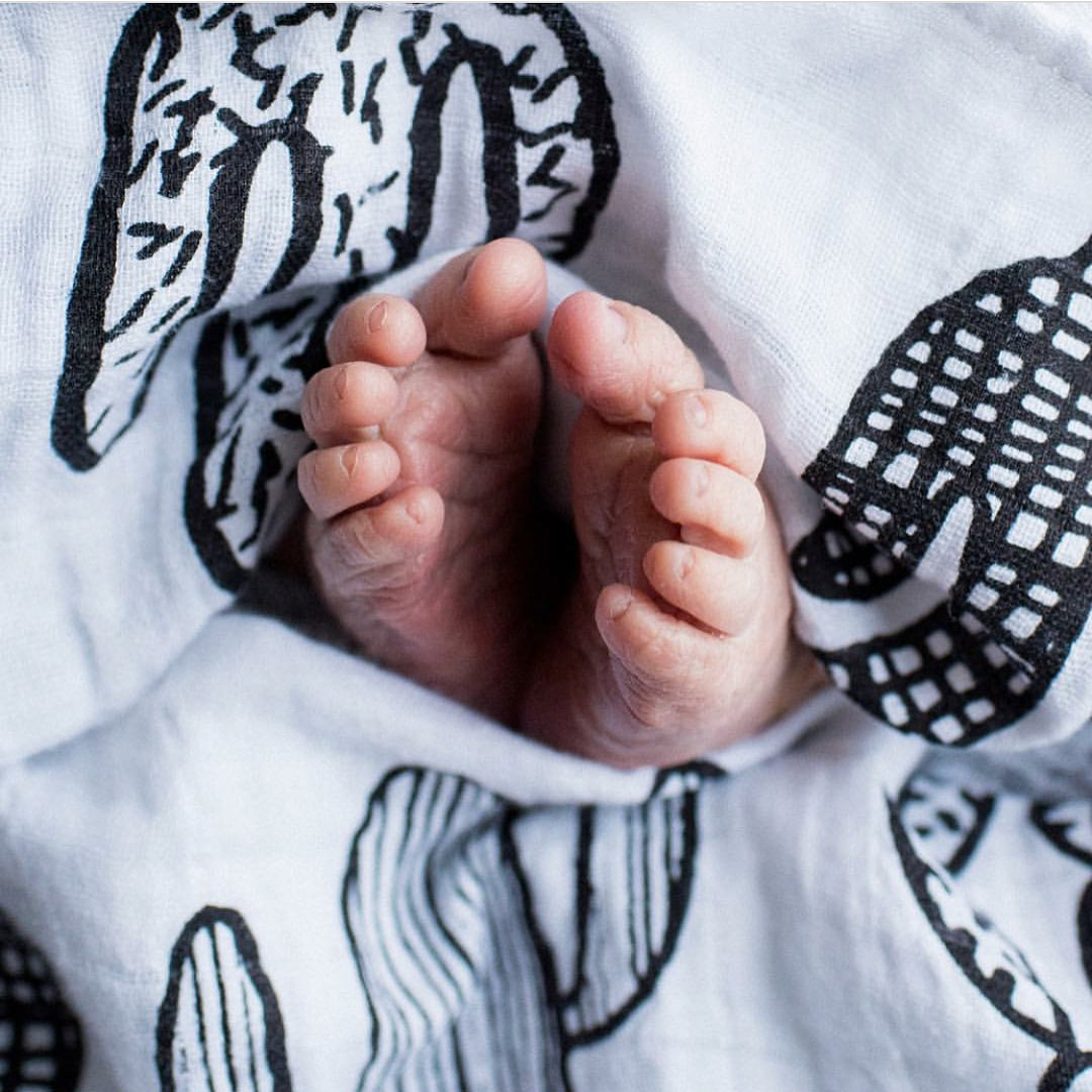 Fabric and print detail of Cactus Organic Swaddle.