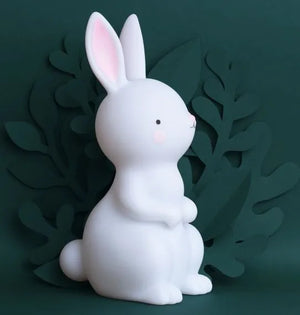
                  
                    Load image into Gallery viewer, A Little Lovely Company - Night light: Bunny
                  
                