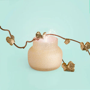 
                  
                    Load image into Gallery viewer, Capri Blue - Pumpkin Dulce Champagne Glitter Petite Jar, 8 oz
                  
                