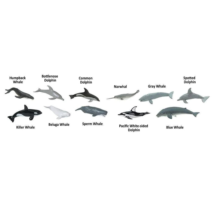 Safari Ltd. - Toob Whales and Dolphins