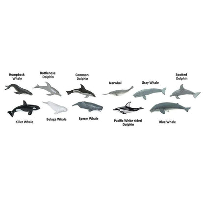 Safari Ltd. - Toob Whales and Dolphins