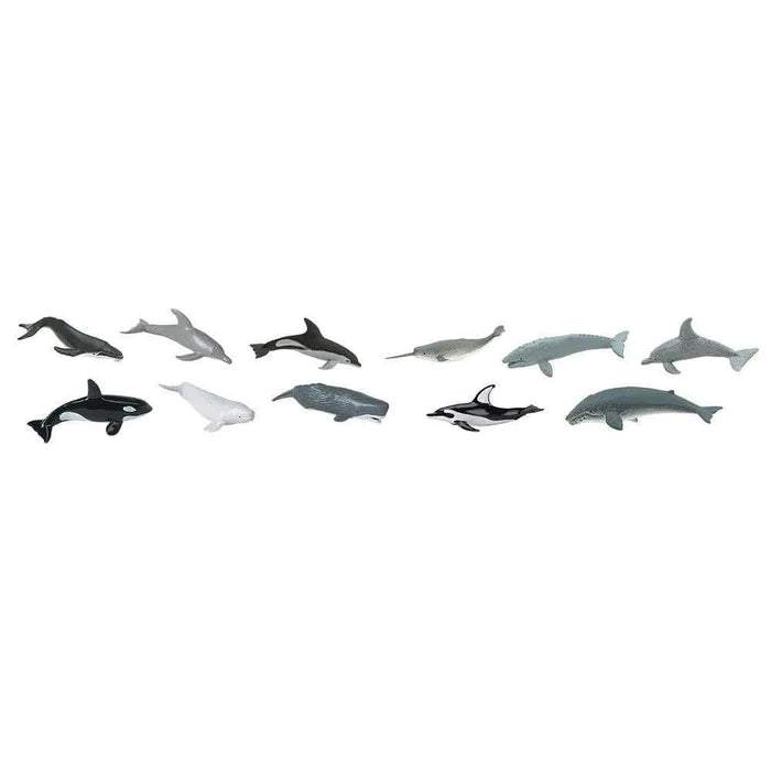 Safari Ltd. - Toob Whales and Dolphins